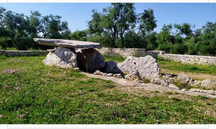 Amaste In Puglia Casa Vacanza Бишелие Екстериор снимка